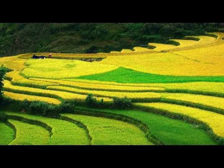 Hotspot Matrix: Triệu Video Chất Lượng Cao Mỗi Ngày, Khẳng Định Vị Thế Trên Thị Trường Video Ngắn