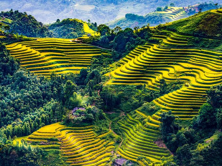 Hotspot Matrix: Biến Mẹ Cua Cốm khen vải trứng Phù thành cơ hội marketing đột phá