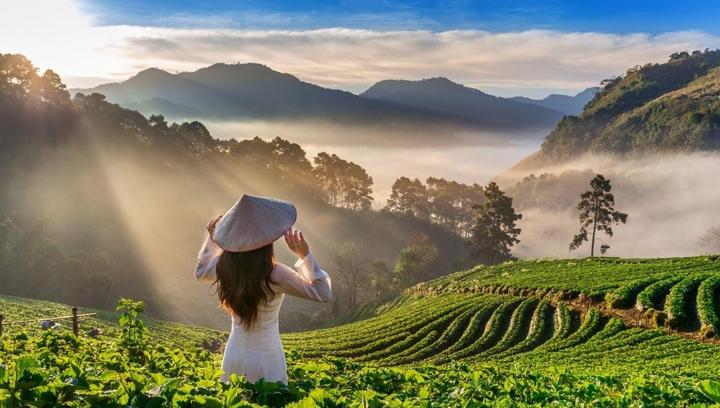 Từ 4 loại cây dụ rắn bò vào nhà, đến chiến lược content: Hotspot Matrix chia sẻ