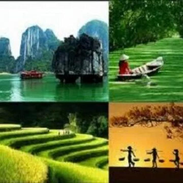 Tận dụng 