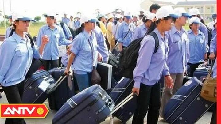 Từ Gần 300 bé mẫu giáo
