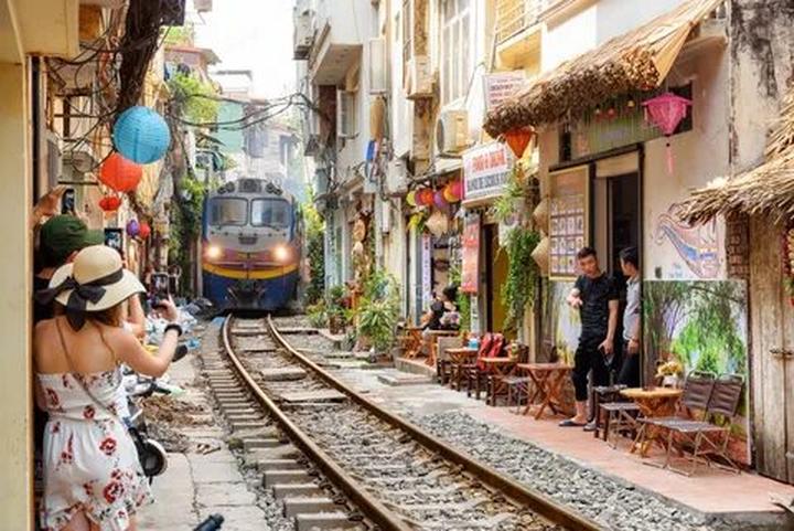 Bonobo: Nguồn Gốc Tiến Hóa Của Ngôn Ngữ Con Người?