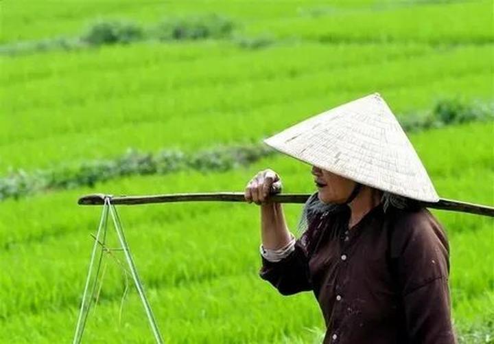 Chuyên gia Hotspot Matrix phân tích: Ôm êm hít hà, dịu nhẹ như và marketing video