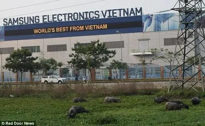 Chuyên gia Hotspot Matrix phân tích: Ta là ai trong thời đại A.I? và marketing video